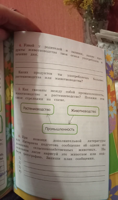 4. Узнай у родителей и запиши, какие продукты животноводства твоя семья употребляла в течение дня. Каких продуктов ты употребляешь больше: растениеводства или животноводства?