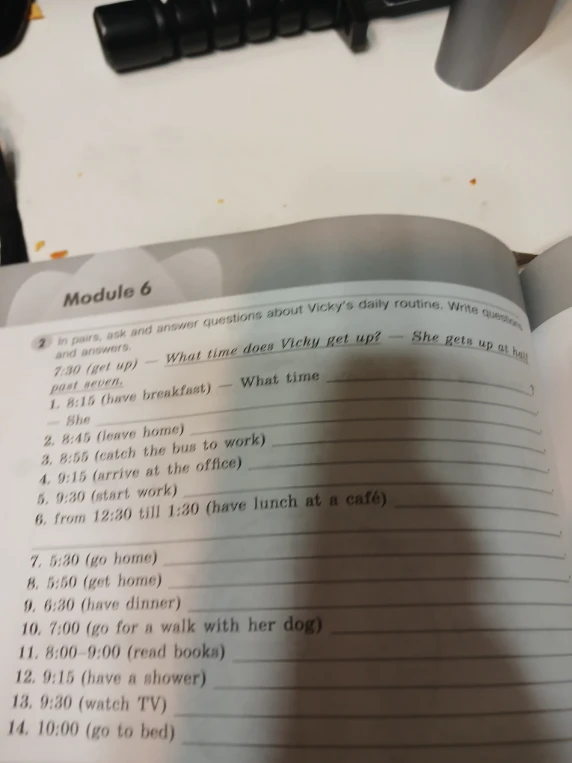 In pairs, ask and answer questions about Vicky's daily routine. Write questions and answers.