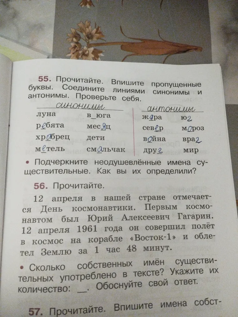 55. Прочитайте. Впишите пропущенные буквы. Соедините линиями синонимы и антонимы. Проверьте себя. Подчеркните неодушевлённые имена существительные. 56. Прочитайте... Сколько собственных имён существительных употреблено в тексте?