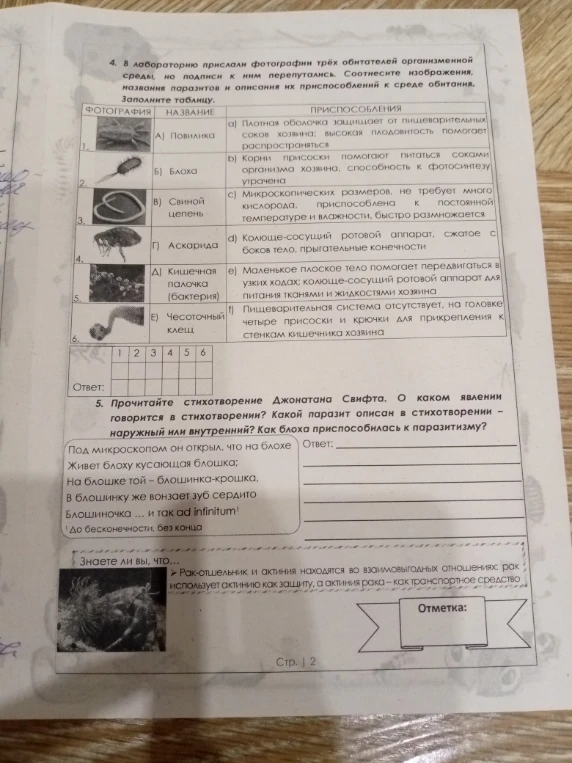 Соотнесите изображения, названия паразитов и описания их приспособлений к среде обитания. Заполните таблицу. Прочитайте стихотворение Джонатана Свифта. О каком явлении говорится в стихотворении? Какой паразит описан в стихотворении – наружный или внутренний? Как блоха приспособилась к паразитизму?
