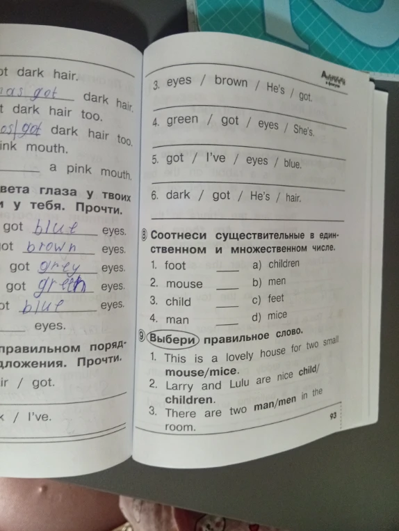 Соотнеси существительные в единственном и множественном числе. Выбери правильное слово.