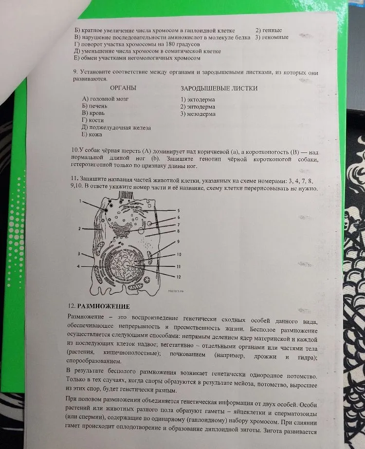 В ядрах клеток слизистой оболочки кишечника позвоночного животного 20 хромосом. Какое число хромосом будет иметь ядро зиготы этого животного?