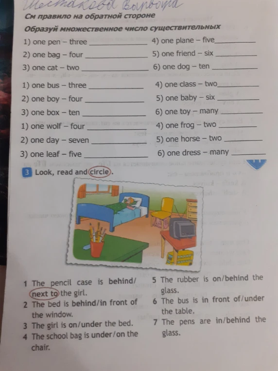 Образуй множественное число существительных. Look, read and circle.