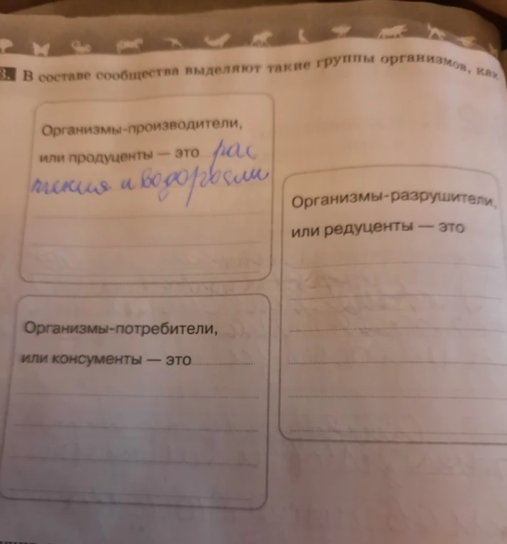 В составе сообщества выделяют такие группы организмов, как: Организмы-производители, Организмы-потребители, Организмы-разрушители.