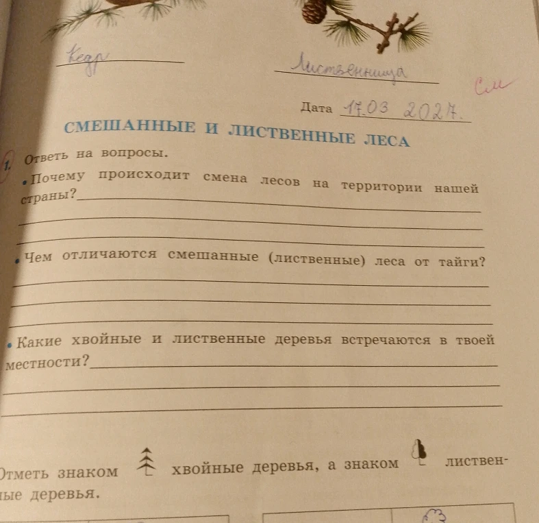 Ответь на вопросы: Почему происходит смена лесов на территории нашей страны? Чем отличаются смешанные (лиственные) леса от тайги? Какие хвойные и лиственные деревья встречаются в твоей местности?