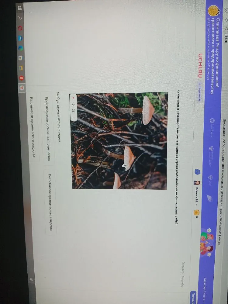 Какую роль в круговороте веществ в природе играют изображённые на фотографии грибы?