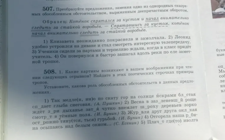 507. Преобразуйте предложения, заменяя одно из однородных сказуемых обособленным обстоятельством, выраженным деепричастным оборотом.