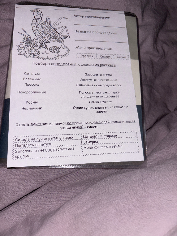 Подбери определения к словам из рассказа. Отметь действия капалухи во время прихода людей красным, после ухода людей - синим.