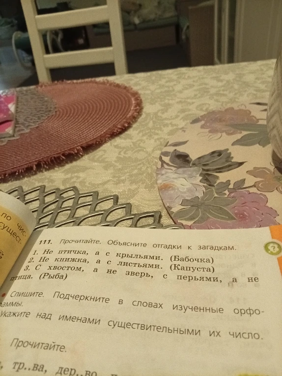 111. Прочитайте. Объясните отгадки к загадкам. Спишите. Подчеркните в словах изученные орфограммы. Укажите над именами существительными их число.