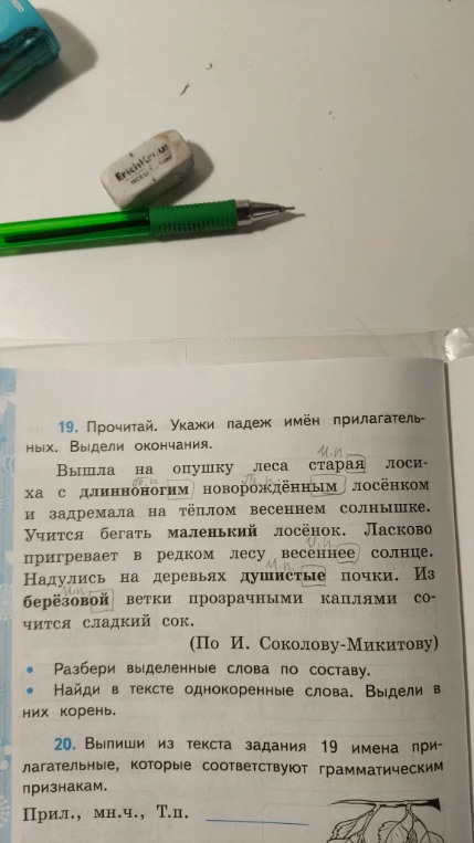 19. Прочитай. Укажи падеж имён прилагательных. Выдели окончания.