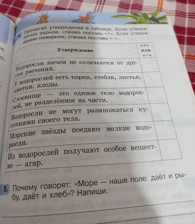 Прочитай утверждения в таблице. Если утверждение верное, справа поставь «+». Если утверждение неверное, справа поставь «-».