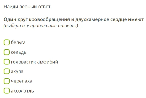 Один круг кровообращения и двухкамерное сердце имеют (выбери все правильные ответы):