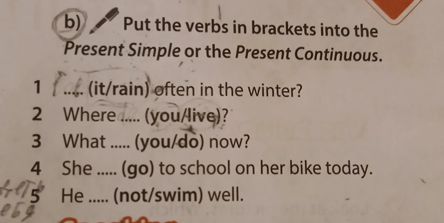 Put the verbs in brackets into the Present Simple or the Present Continuous.