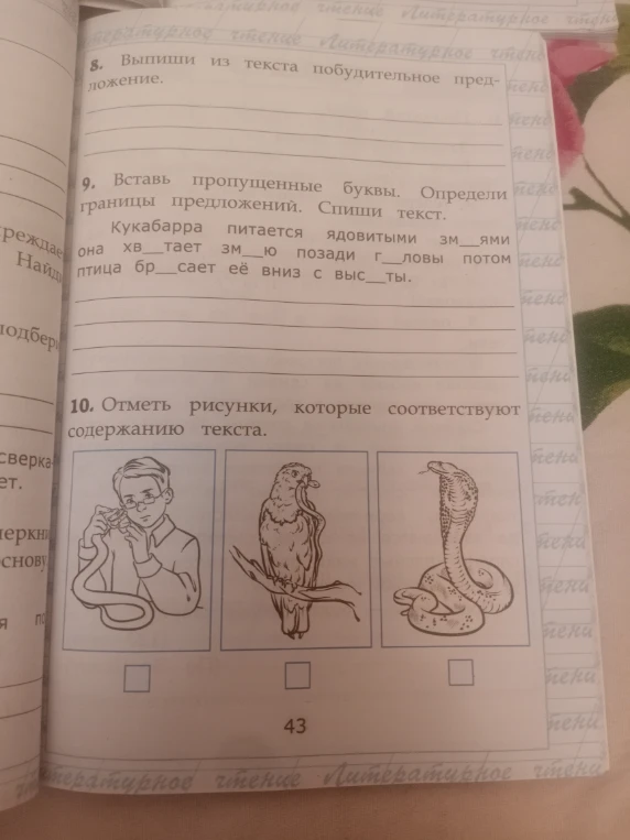 Вставь пропущенные буквы. Определи границы предложений. Спиши текст.