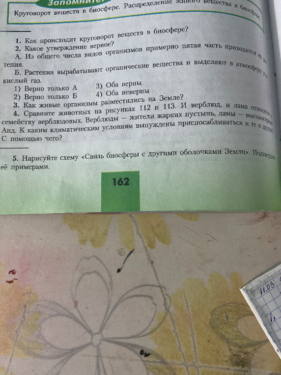 1. Как происходит круговорот веществ в биосфере? 2. Какое утверждение верное? 3. Как живые организмы разместились на Земле? 4. Сравните животных на рисунках 112 и 113. 5. Нарисуйте схему «Связь биосферы с другими оболочками Земли».