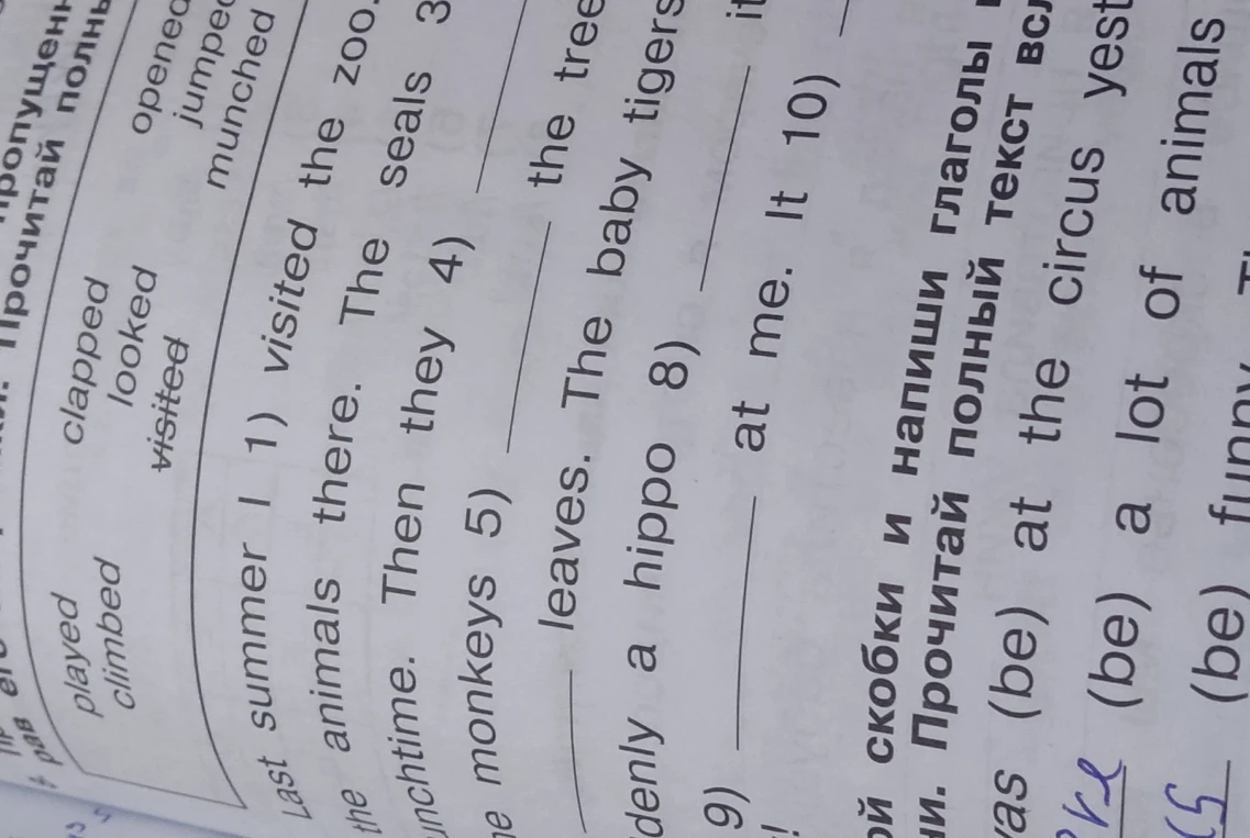 Last summer I 1) visited the zoo... Fill in the blanks with the verbs in the past tense.