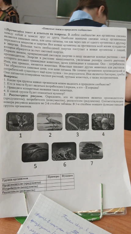 Прочитайте текст и ответьте на вопросы о пищевых связях в природном сообществе. Рассмотрите рисунок и определите роль организмов.