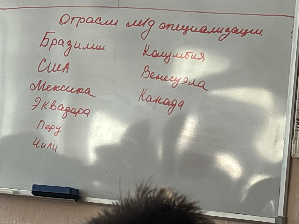 Отрасли международной специализации стран: Бразилия, США, Мексика, Эквадор, Перу, Чили, Колумбия, Венесуэла, Канада.