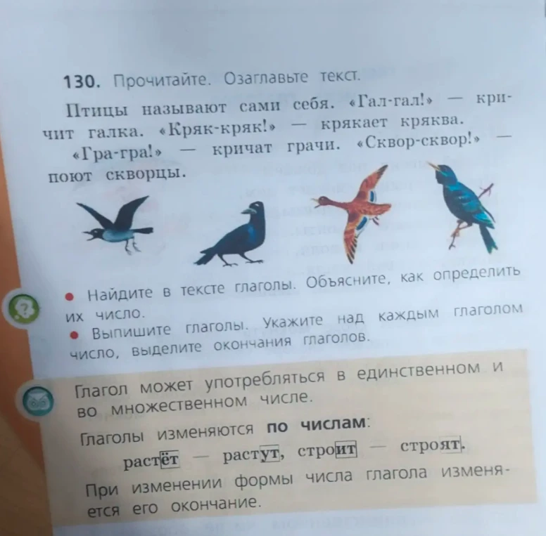 Прочитайте. Озаглавьте текст. Найдите в тексте глаголы. Выпишите глаголы. Укажите над каждым глаголом число, выделите окончания глаголов.