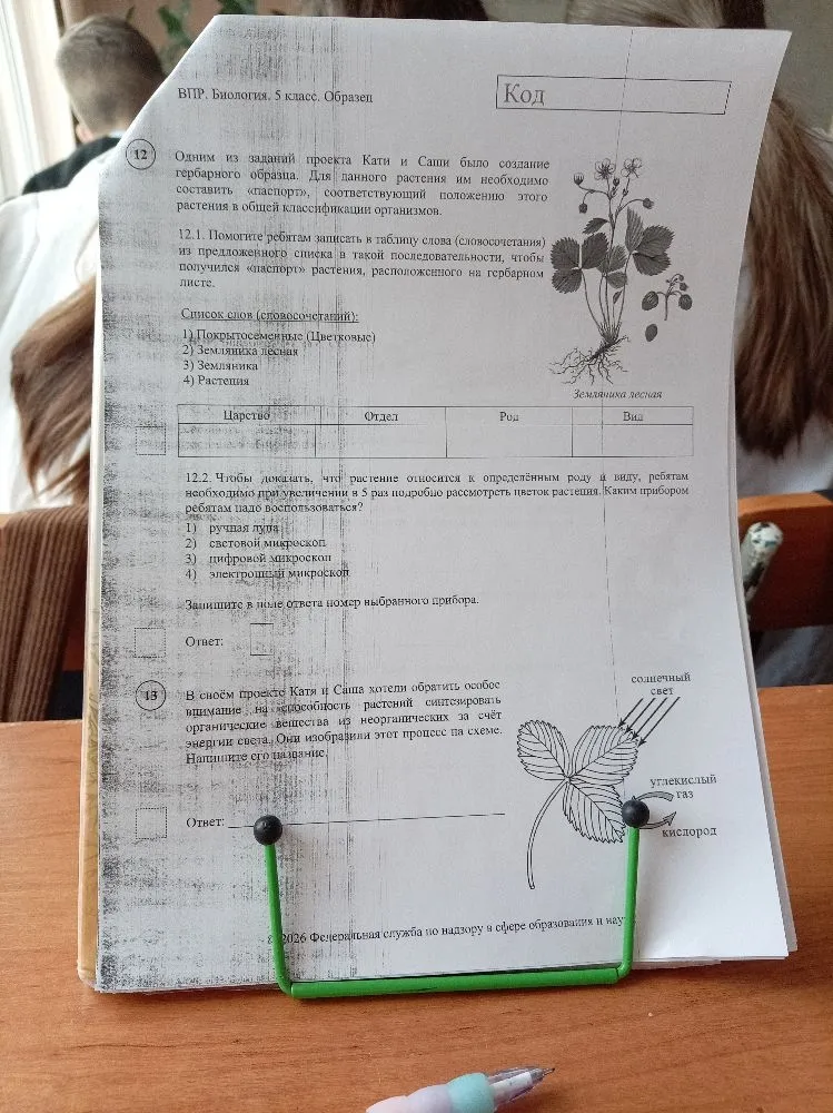 Помогите ребятам записать в таблицу слова из предложенного списка в такой последовательности, чтобы получился «паспорт» растения.