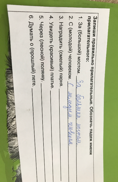 Запиши правильно прилагательные. Обозначь падеж имени прилагательного.