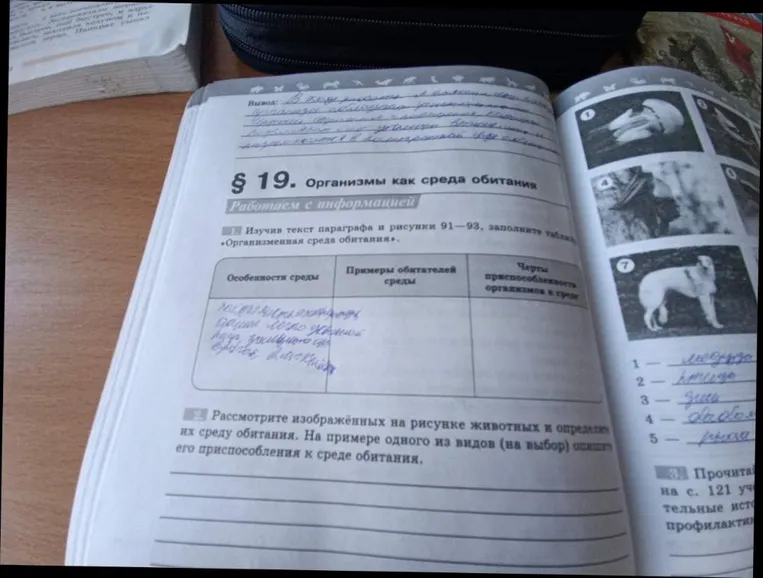 Изучив текст параграфа и рисунки 91—93, заполните таблицу «Организменная среда обитания».