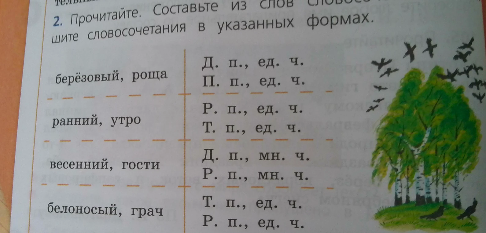 Прочитайте. Составьте из слов словосочетания. Запишите словосочетания в указанных формах.