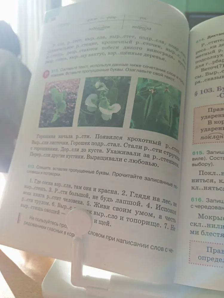 Составьте текст, используя данные ниже сочетания слов и предложений. Вставьте пропущенные буквы. Озаглавьте свой текст.