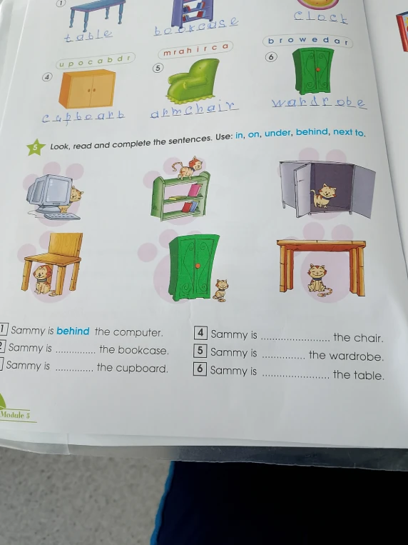 Look, read and complete the sentences. Use: in, on, under, behind, next to.