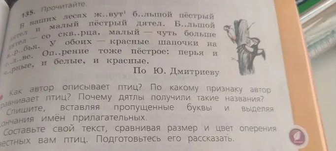 135. Прочитайте. В наших лесах ж..вут б..льшой пёстрый дятел и малый пёстрый дятел. Спишите, вставляя пропущенные буквы и выделяя окончания имён прилагательных.