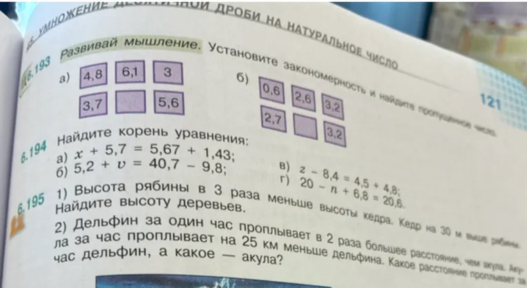 Установите закономерность и найдите пропущенное число. Найдите корень уравнения. Решите задачи на нахождение высоты деревьев и расстояния.