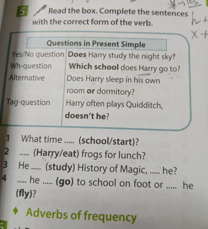 Read the box. Complete the sentences with the correct form of the verb.