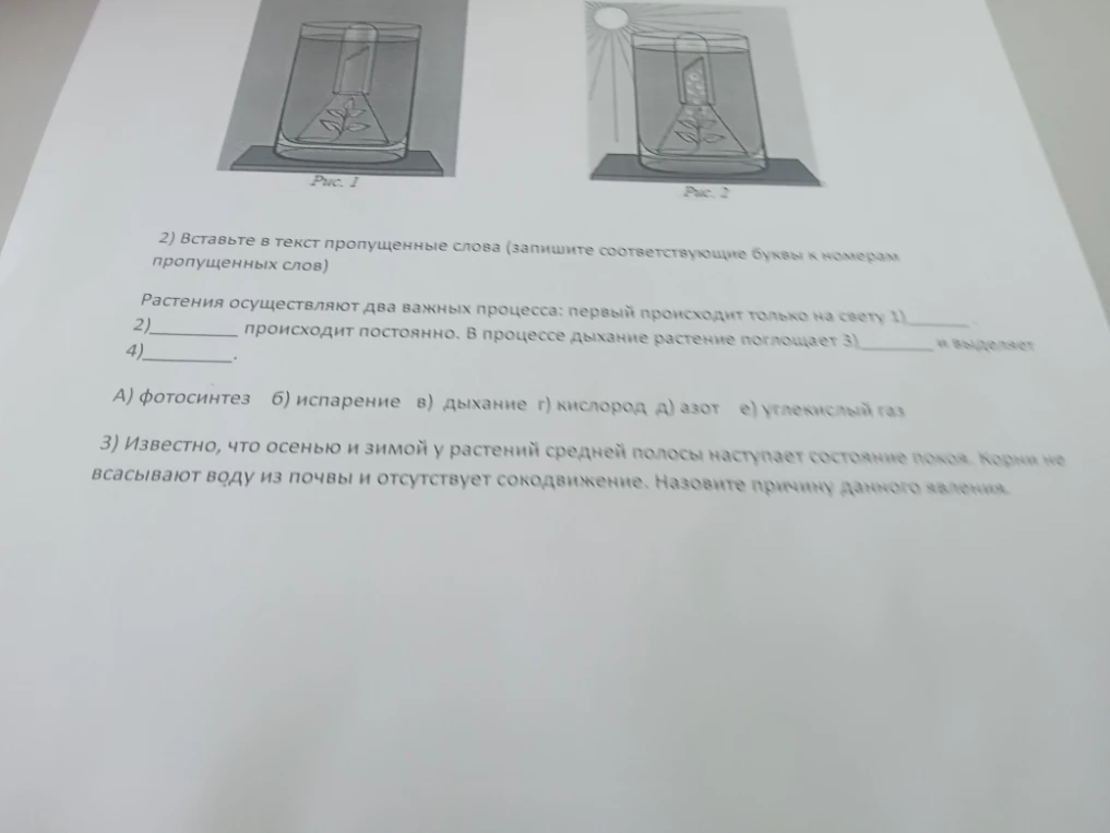 2) Вставьте в текст пропущенные слова (запишите соответствующие буквы к номерам пропущенных слов) 3) Известно, что осенью и зимой у растений средней полосы наступает состояние покоя. Назовите причину данного явления.