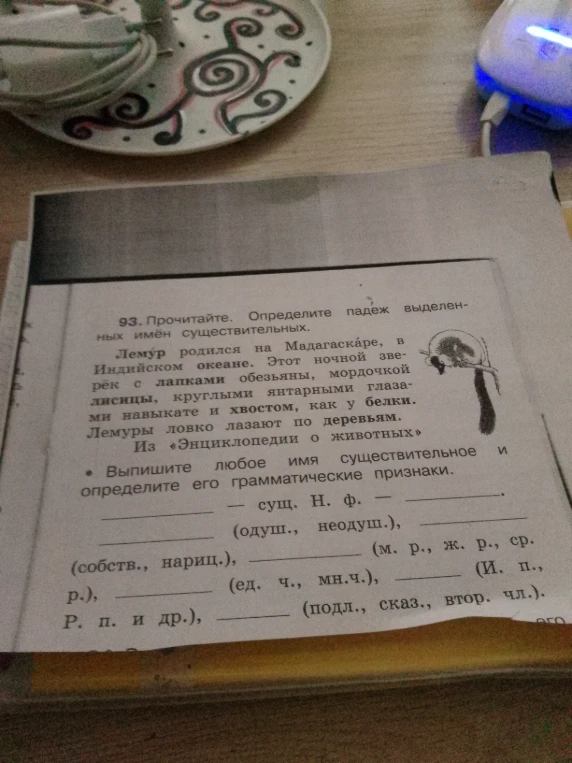 93. Прочитайте. Определите падеж выделенных имен существительных. Выпишите любое имя существительное и определите его грамматические признаки.