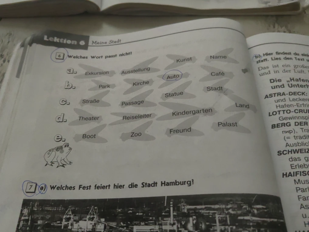 6. Welches Wort passt nicht?