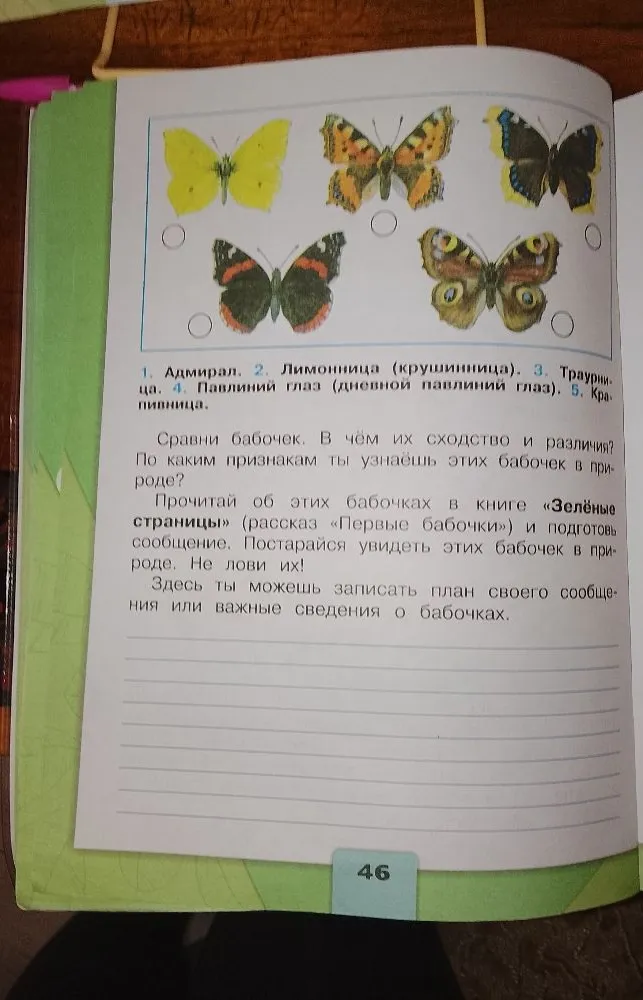 Сравни бабочек. В чём их сходство и различия? По каким признакам ты узнаешь этих бабочек в природе?