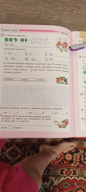 1. Выполни действия: 2 4/6 + 1 3/6. 2. Выполни действия: 2 + 3 1/7... 3. Четвероклассники посадили в школьном саду 28 ягодных кустов...