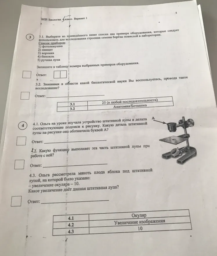 Выберите из приведённого ниже списка два примера оборудования, которые следует использовать для исследования строения семени берёзы повислой в лаборатории.