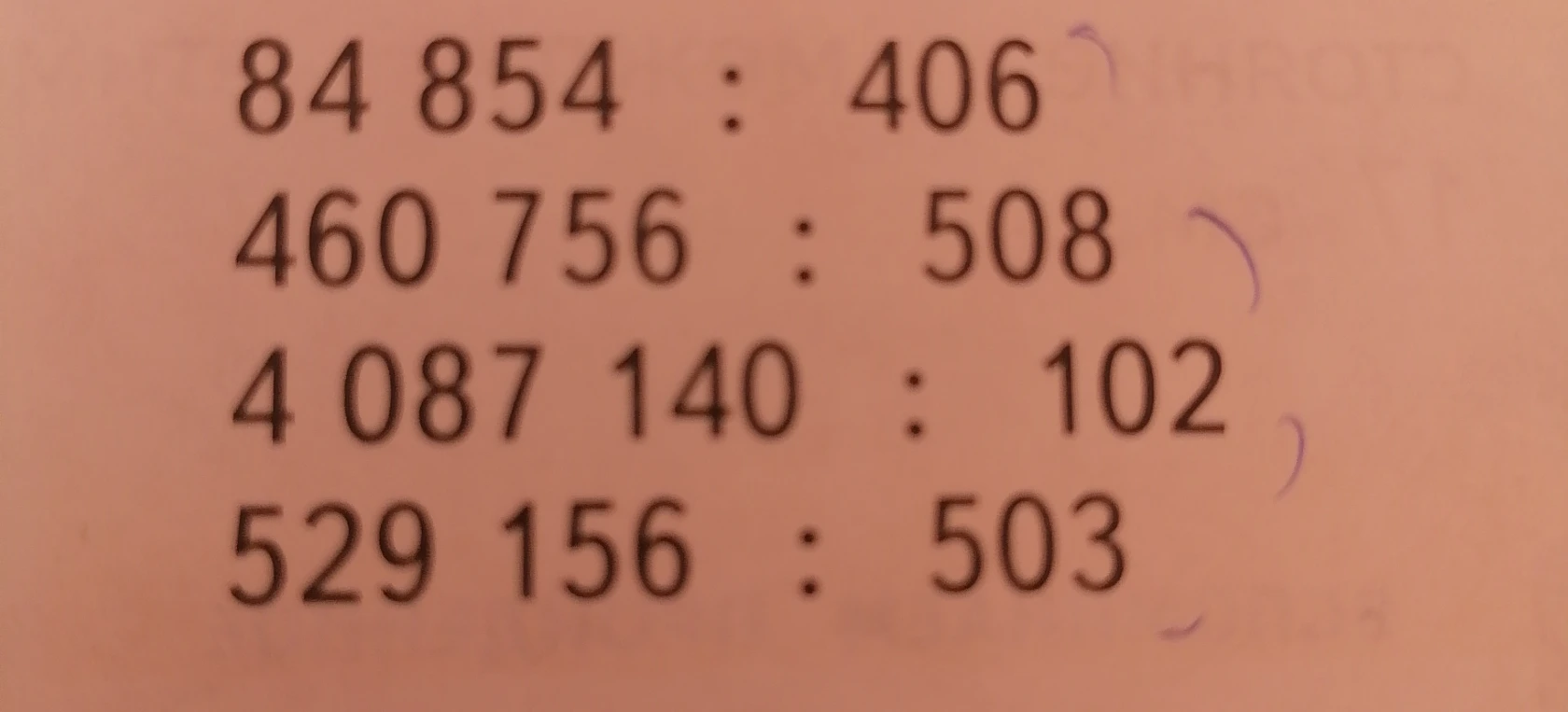 Выполните деление: 84 854 : 406; 460 756 : 508; 4 087 140 : 102; 529 156 : 503.