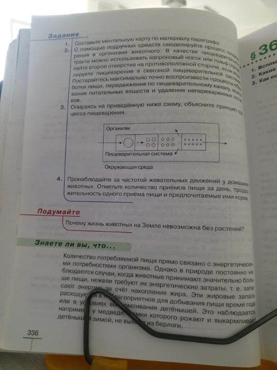 Опираясь на приведённую ниже схему, объясните принцип процесса пищеварения. Почему жизнь животных на Земле невозможна без растений?