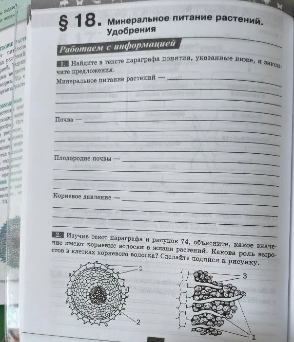Найдите в тексте параграфа понятия, указанные ниже, и закончите предложения. Минеральное питание растений — ...
