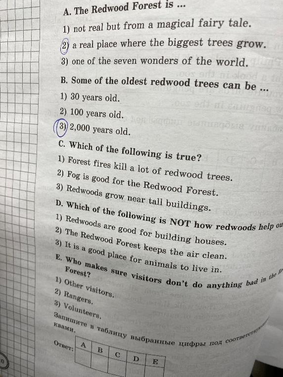 Выполните задания теста по тексту о лесе Редвуд (The Redwood Forest) и запишите выбранные цифры в таблицу.