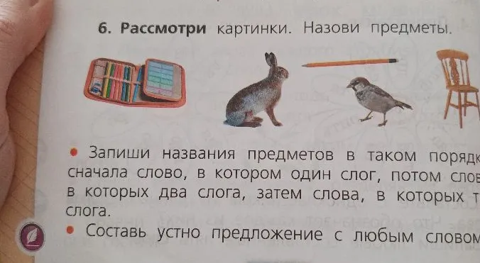 Рассмотри картинки. Назови предметы. Запиши названия предметов в таком порядке: сначала слово, в котором один слог, потом слова, в которых два слога, затем слова, в которых три слога.