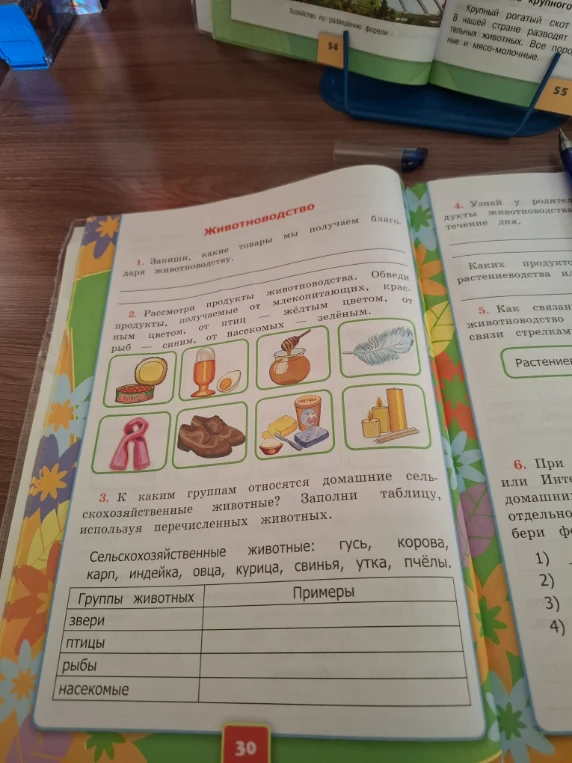 К каким группам относятся домашние сельскохозяйственные животные? Заполни таблицу, используя перечисленных животных.