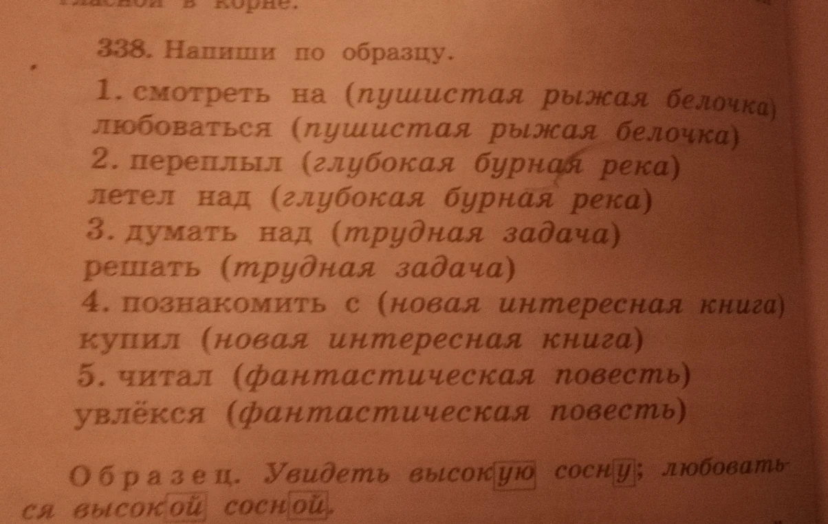 338. Напиши по образцу. 1. смотреть на (пушистая рыжая белочка) любоваться (пушистая рыжая белочка)