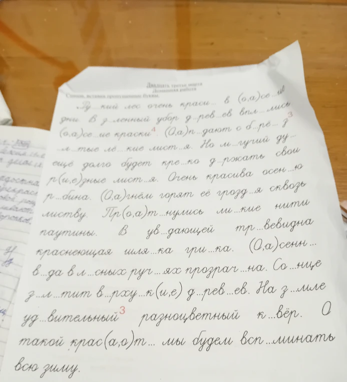 Спиши, вставляя пропущенные буквы. Редкий лес очень красив...