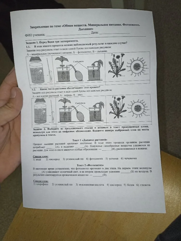 Закрепление по теме «Обмен веществ. Минеральное питание. Фотосинтез. Дыхание»
