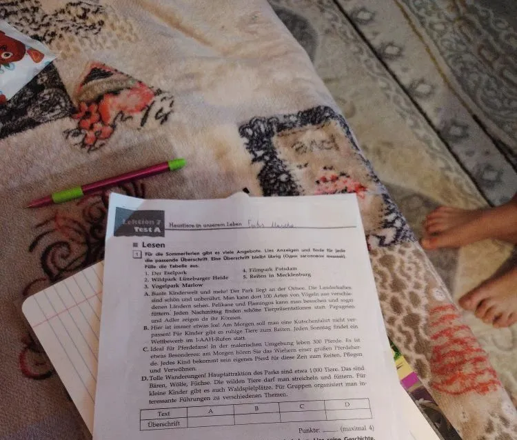 Для sommerferien gibt es viele Angebote. Lies Anzeigen und finde für jede die passende Überschrift. Eine Überschrift bleibt übrig.