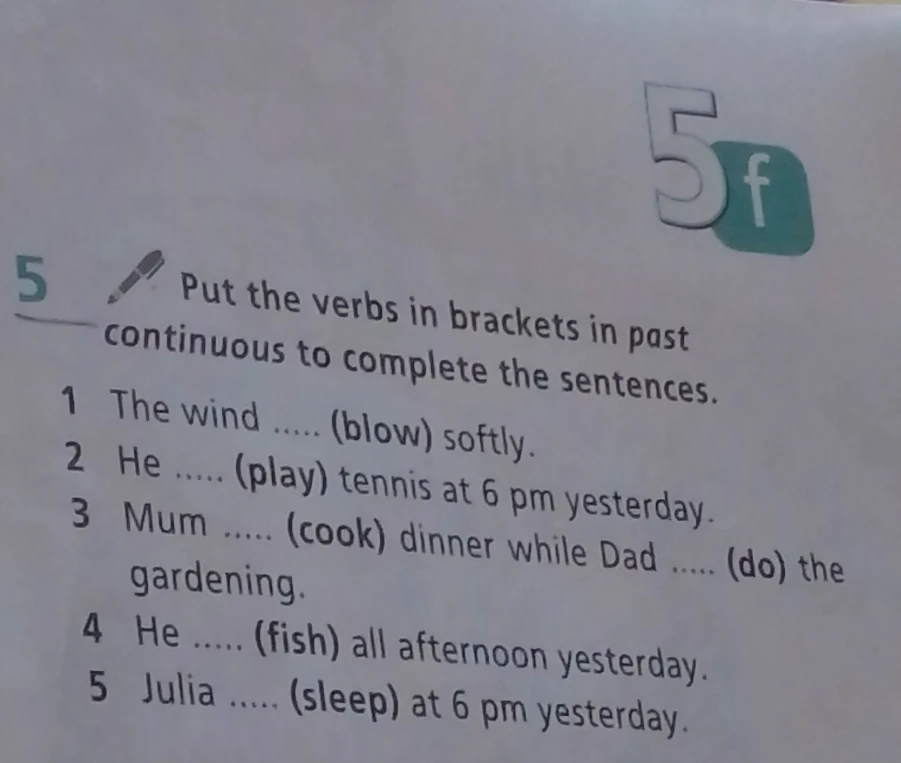 Put the verbs in brackets in past continuous to complete the sentences.