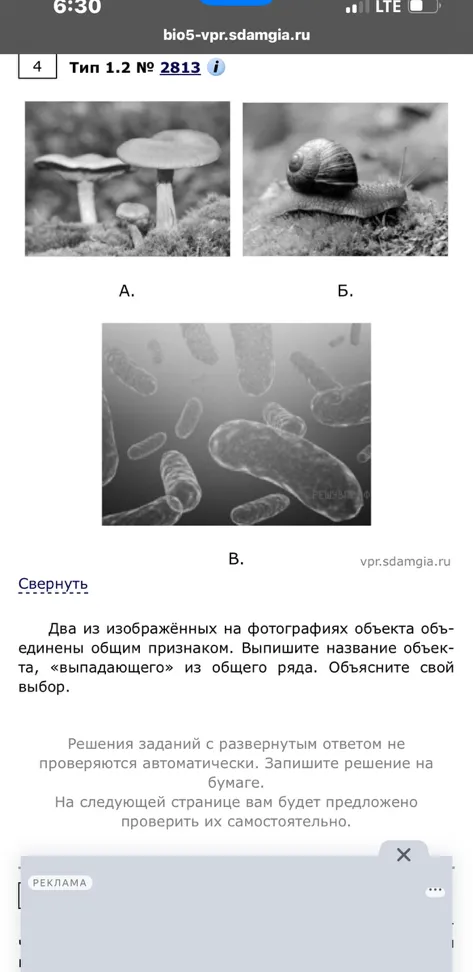 Два из изображённых на фотографиях объекта объединены общим признаком. Выпишите название объекта, «выпадающего» из общего ряда. Объясните свой выбор.